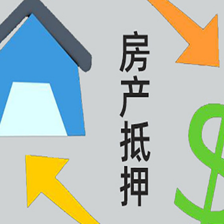 米易贷款中介公司新渝启服联系方式